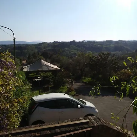 Il Glicine Sienne